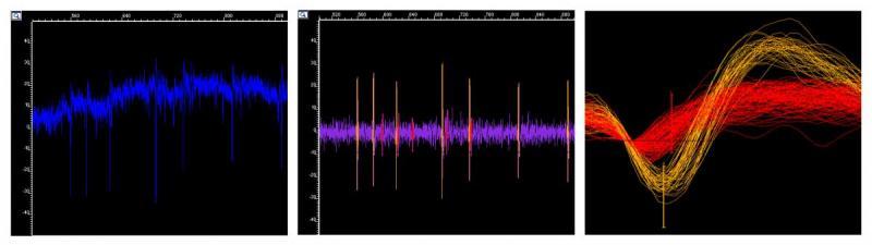 Multielectrode channel traces